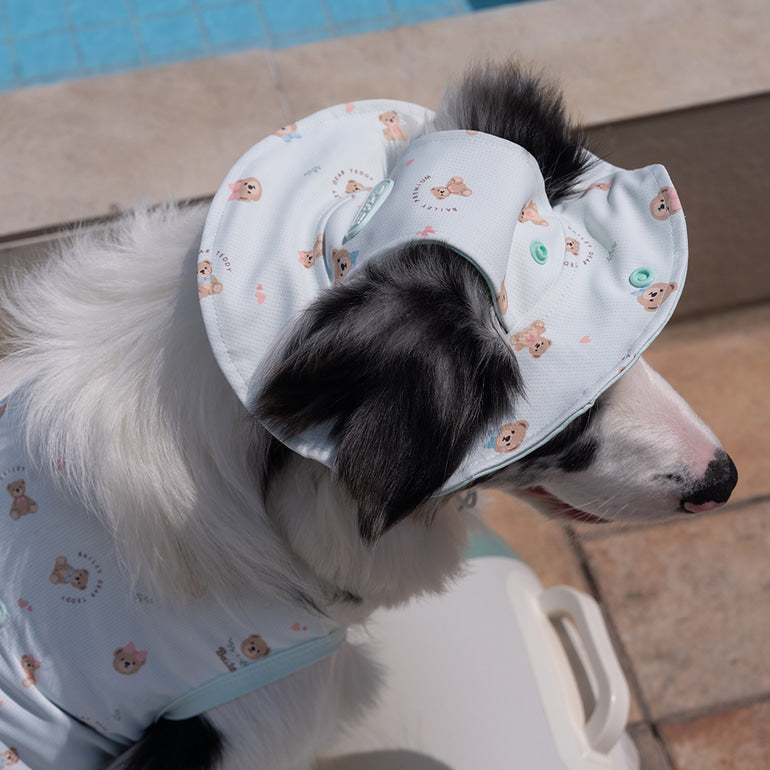 韓國新品上架【梨花娘】🐾BAILEY 🐶秋冬新品 可愛造型遮陽透氣滿版小熊可調節寵物帽(3色)