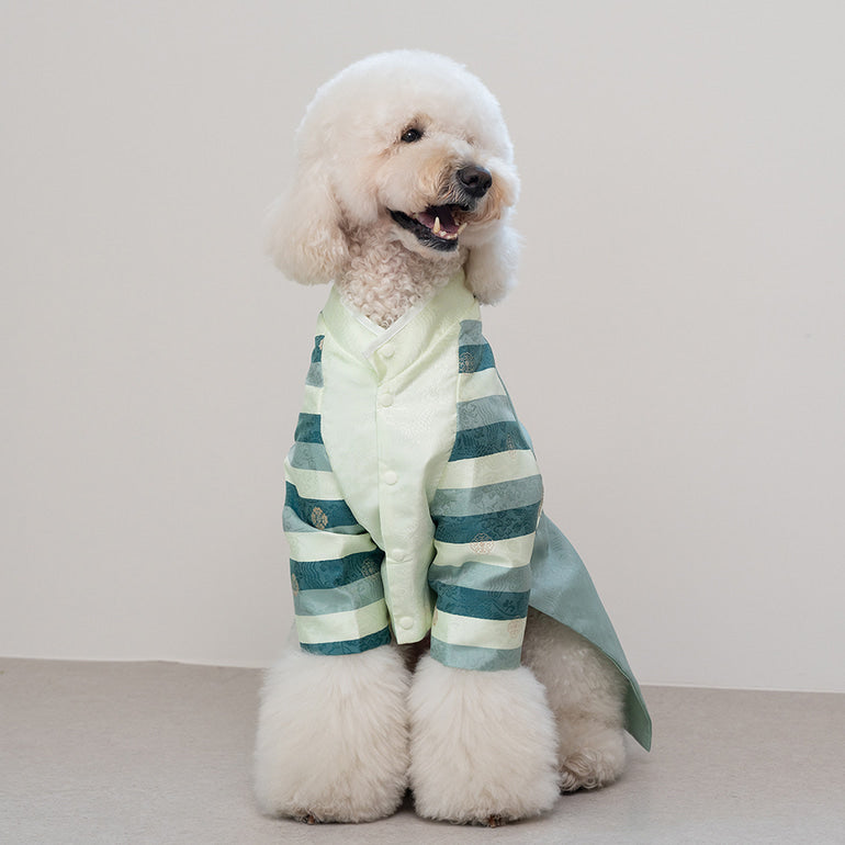 韓國新品上架【梨花娘】🐾BAILEY 🐶秋冬新品 皇室尊貴刺繡流蘇寵物韓服(4色)