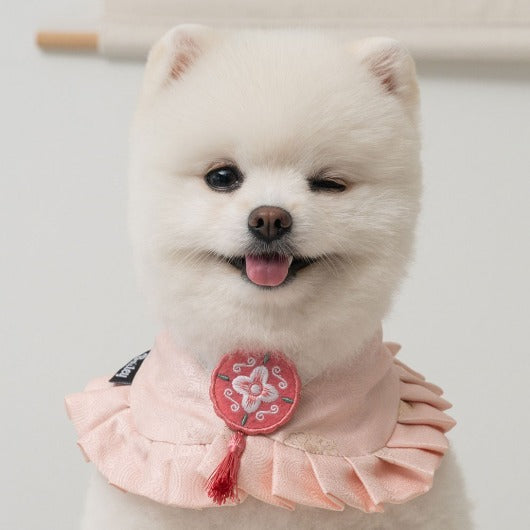 韓國BAILEY💖寵物品牌精緻韓服領巾(現貨+預購)