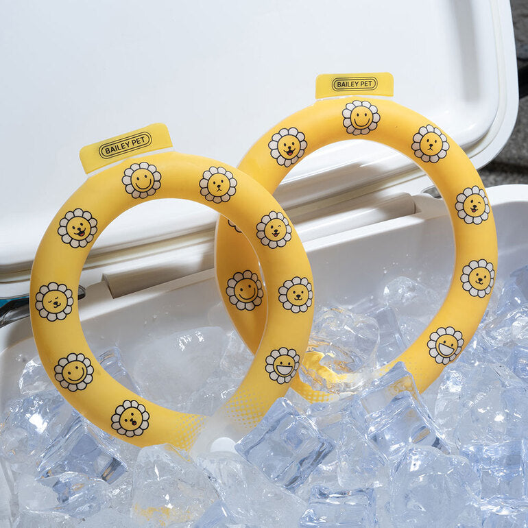 韓國新品上架【梨花娘】🐾BAILEY 🐶炎炎夏日寵物頸部降溫舒緩夜間瑩光冷卻頸圈(2色)