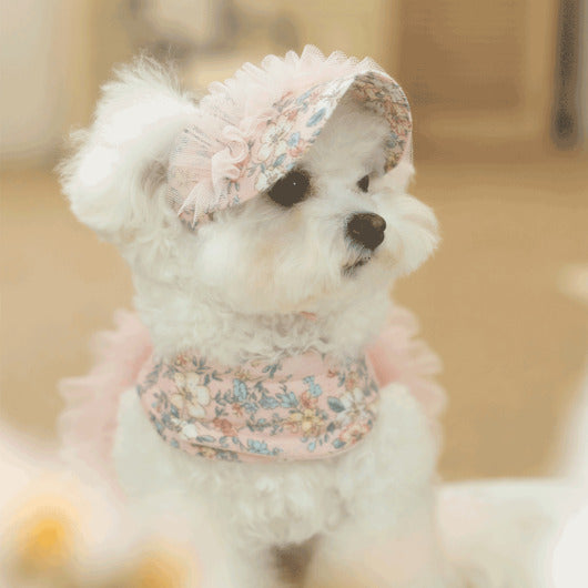 韓國新品上架【梨花娘】🐾BAILEY 🐶秋冬新品 溫柔蕾絲荷葉邊小碎花寵物帽(2色)