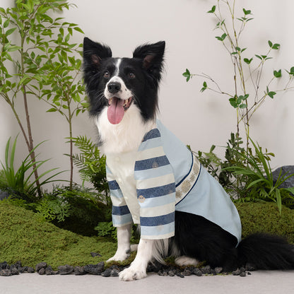 韓國新品上架【梨花娘】🐾BAILEY 🐶秋冬新品 皇室尊貴刺繡流蘇寵物韓服(4色)