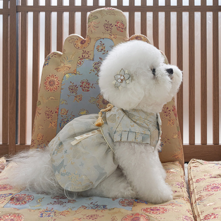 韓國新品上架【梨花娘】🐾BAILEY 🐶秋冬新品 新年編織結掛香包寶貝寵物韓服(2色)