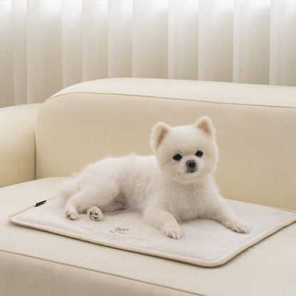 韓國BAILEY💖【梨花娘】夏日必備涼爽親膚降溫舒適防水滿版小熊寵物冰涼墊(3尺寸)