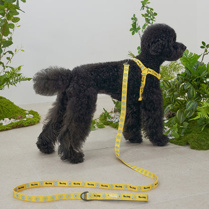 韓國新品上架【梨花娘】🐾BAILEY 🐶秋冬新品 飽合亮色花朵微笑寵物牽繩(4色)