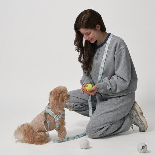韓國新品上架【梨花娘】🐾BAILEY 🐶 微笑花朵可愛小熊高機能解放雙手寵物牽引繩(7色)