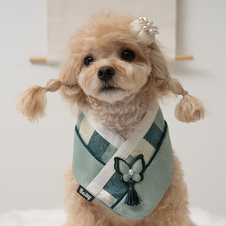 韓國新品上架【梨花娘】🐾BAILEY 🐶秋冬新品 韓國皇室蝴蝶流蘇精緻韓服領巾(4色)