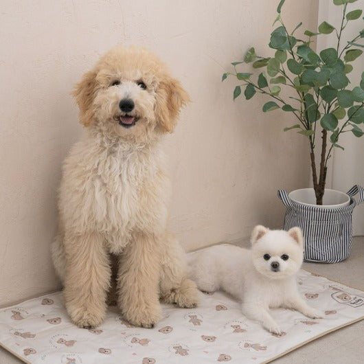 韓國BAILEY💖【梨花娘】夏日必備涼爽親膚降溫舒適防水滿版小熊寵物冰涼墊(3尺寸)