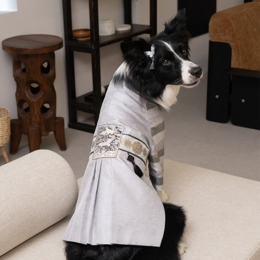 韓國新品上架【梨花娘】🐾BAILEY 🐶秋冬新品 皇室尊貴刺繡流蘇寵物韓服(4色)