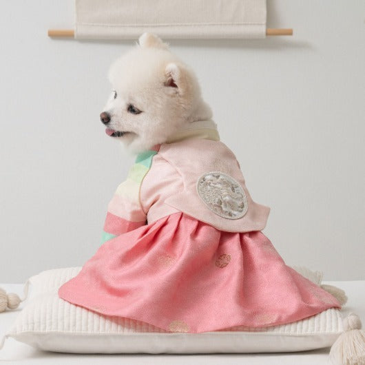 韓國新品上架【梨花娘】🐾BAILEY 🐶秋冬新品 皇室公主刺繡百褶裙寵物韓服(2色)