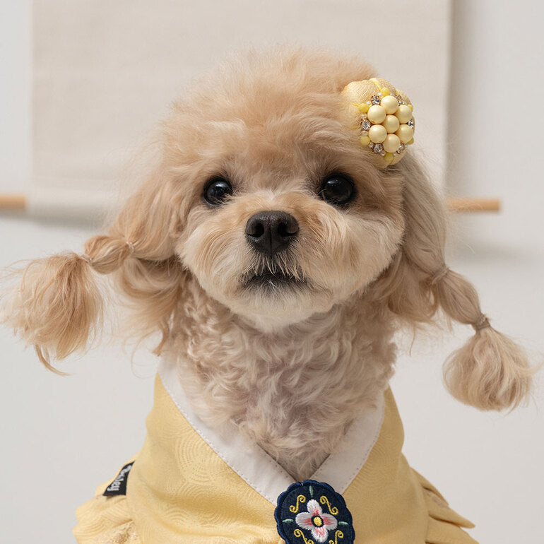 韓國新品上架【梨花娘】🐾BAILEY 🐶韓系華麗宮庭風珍珠流蘇寵物髮夾(9色)