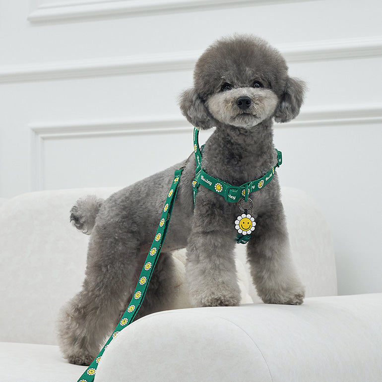 韓國新品上架【梨花娘】🐾BAILEY 🐶秋冬新品 飽合亮色花朵微笑寵物牽繩(4色)