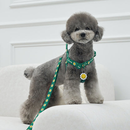 韓國新品上架【梨花娘】🐾BAILEY 🐶秋冬新品 飽合亮色花朵微笑寵物牽繩(4色)