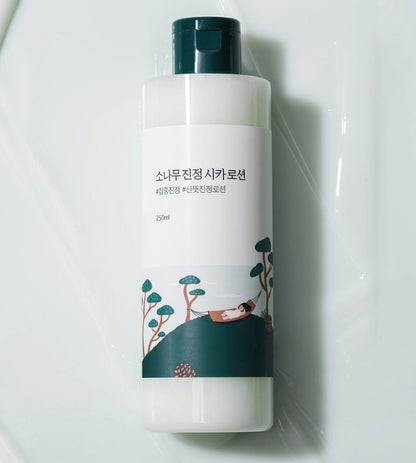 🆕新品上架💖【梨花娘】韓國品牌Round Lab 松樹舒緩積雪草乳液 250ml🏆韓國連線