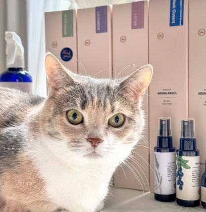 💜新品上架【梨花娘總代理】🏆暢銷 🫧韓國國際調香師PUMBLEPET  OIL 天然植萃複方精油空間分解臭味菌菌掰掰🦠香氛噴霧 50ml/500ml（5 款香味）