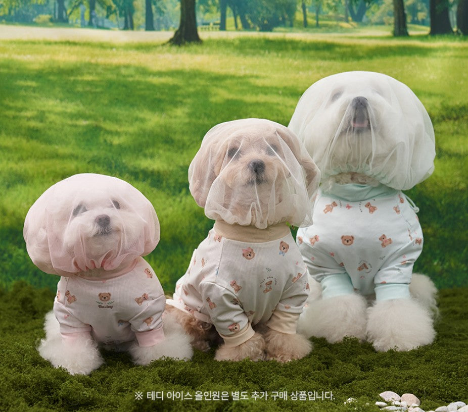 💕【梨花娘總代理】🐾韓國BAILEY 🐶夏季外出透氣防蟲防叮咬面罩(4色)