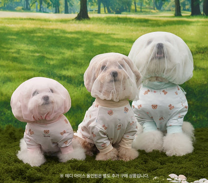 💕【梨花娘總代理】🐾韓國BAILEY 🐶夏季外出透氣防蟲防叮咬面罩(4色)